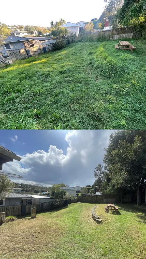 Before and after Ironwood cleared an overgrown Auckland lawn around a picnic table